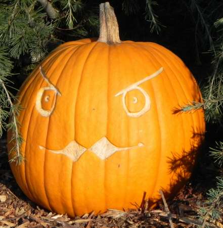Beaky, Nipomo Pumpkin Patch, carving idea